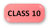 Computer Olympiad Syllabus Class 10 Button