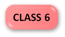 Computer Olympiad Syllabus Class 6 Button