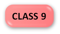 Computer Olympiad Syllabus Class 9 Button