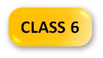 English Olympiad Syllabus Class 6 Button