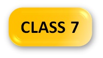 English Olympiad Syllabus Class 7 Button