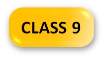 English Olympiad Syllabus Class 9 Button