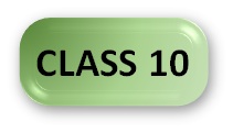 GK Olympiad Syllabus Class 10 Button