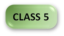 GK Olympiad Syllabus Class 5 Button