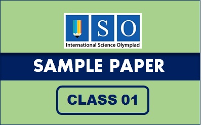 ISO Sample Paper Class 1