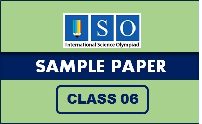 ISO Sample Paper Class 6