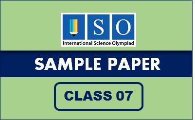 ISO Sample Paper Class 7