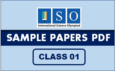 ISO Sample Paper Class 1 PDF Button