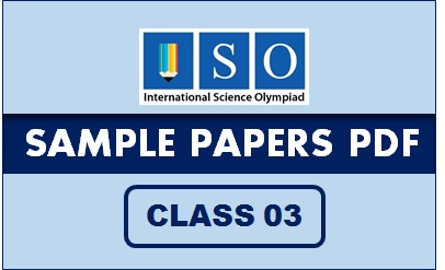 ISO Sample Paper Class 3 PDF Button