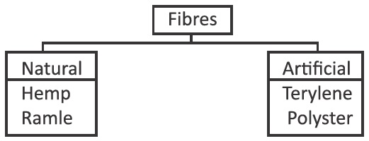 Science Sample Question 2 Class 6