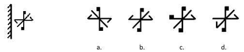 Science Sample Question 4 Class 3