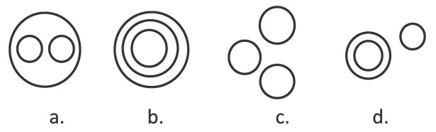 Science Sample Question 4 Class 5