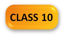 Social Olympiad Syllabus Class 10 Button