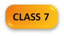 Social Olympiad Syllabus Class 7 Button