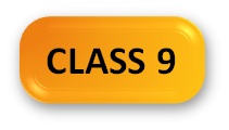 Social Olympiad Syllabus Class 9 Button